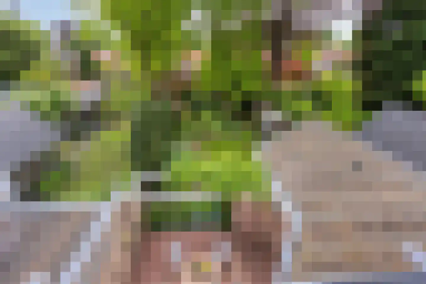 Van Hogendorpstraat 25 Veenendaal thumbnail 16