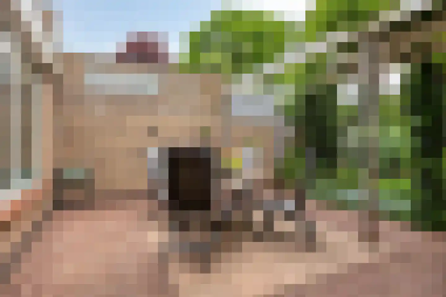 Van Hogendorpstraat 25 Veenendaal thumbnail 22