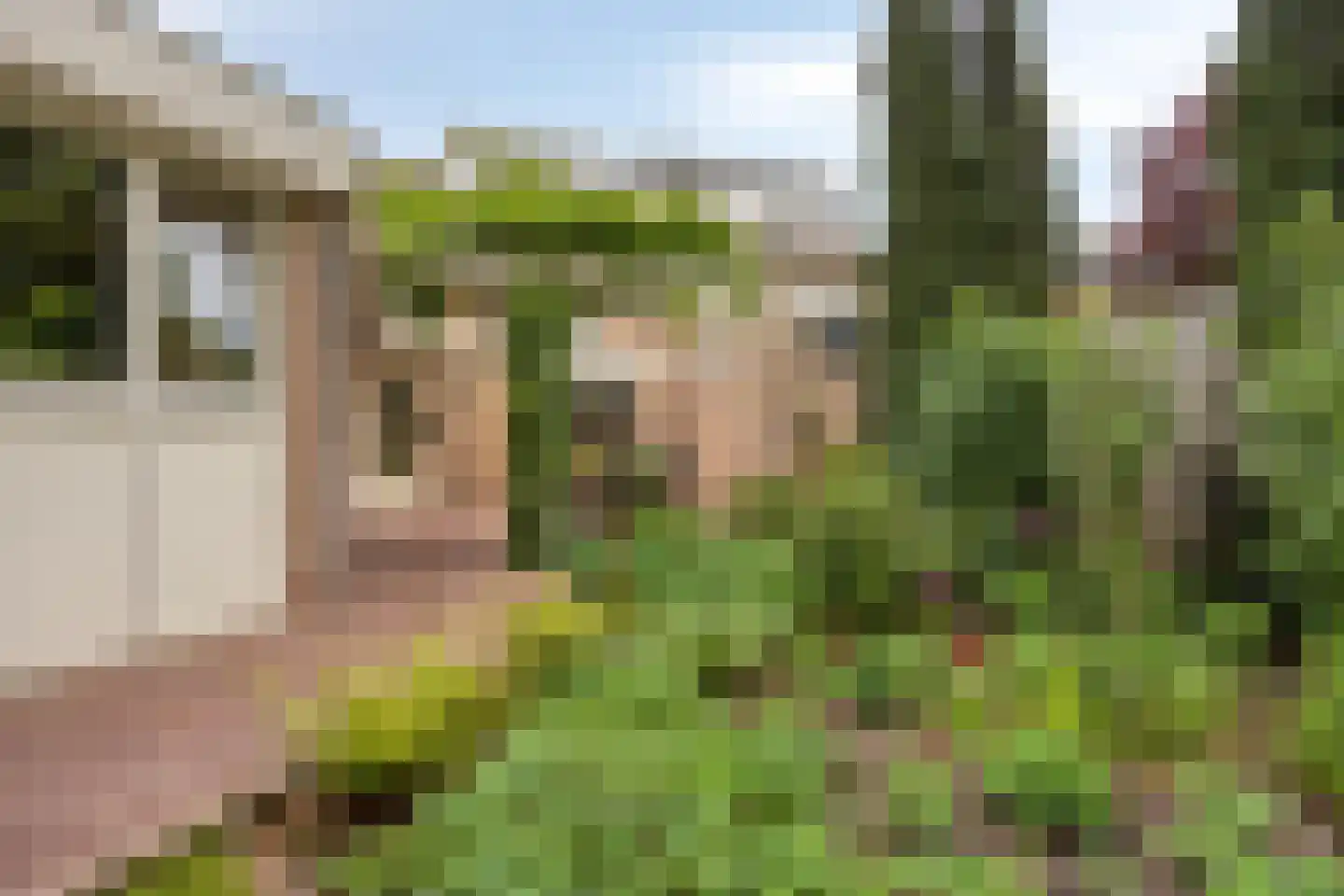 Van Hogendorpstraat 25 Veenendaal thumbnail 27