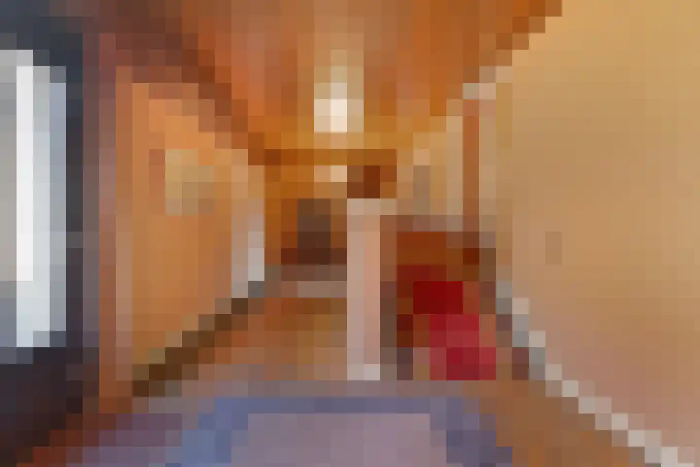 Van Hogendorpstraat 3 Drunen thumbnail 10