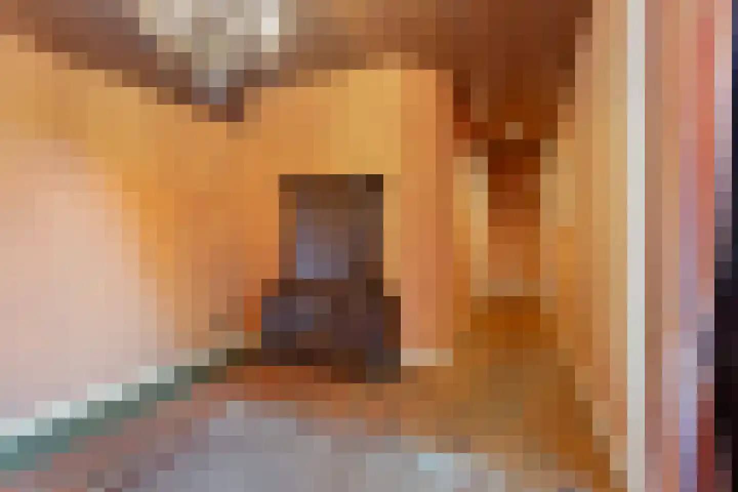 Van Hogendorpstraat 3 Drunen thumbnail 11