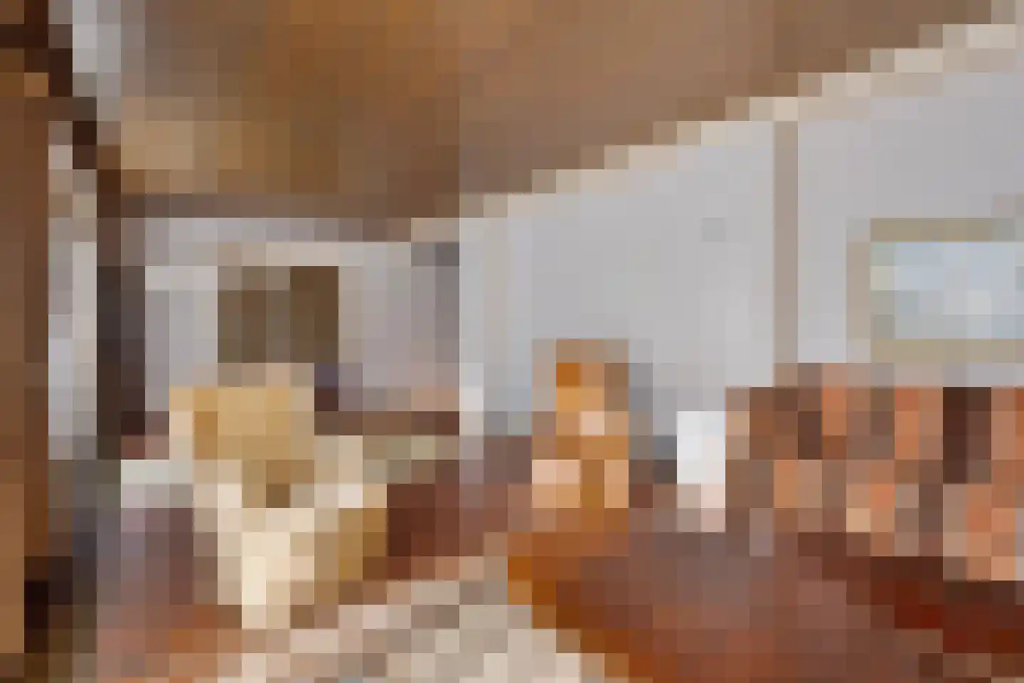 Van Hogendorpstraat 3 Drunen thumbnail 12