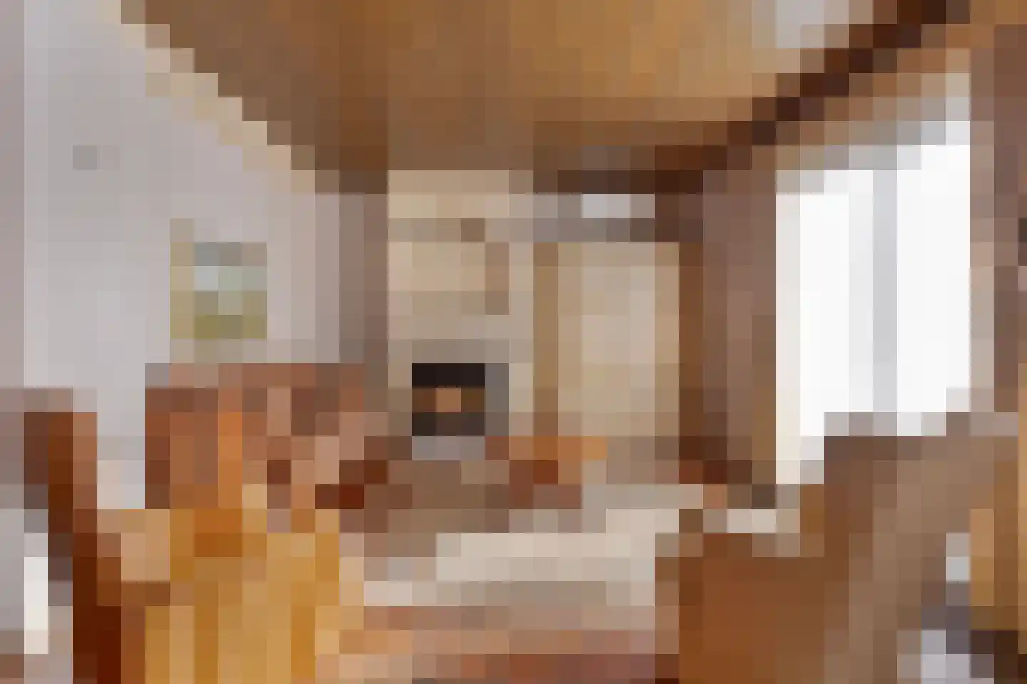 Van Hogendorpstraat 3 Drunen thumbnail 13