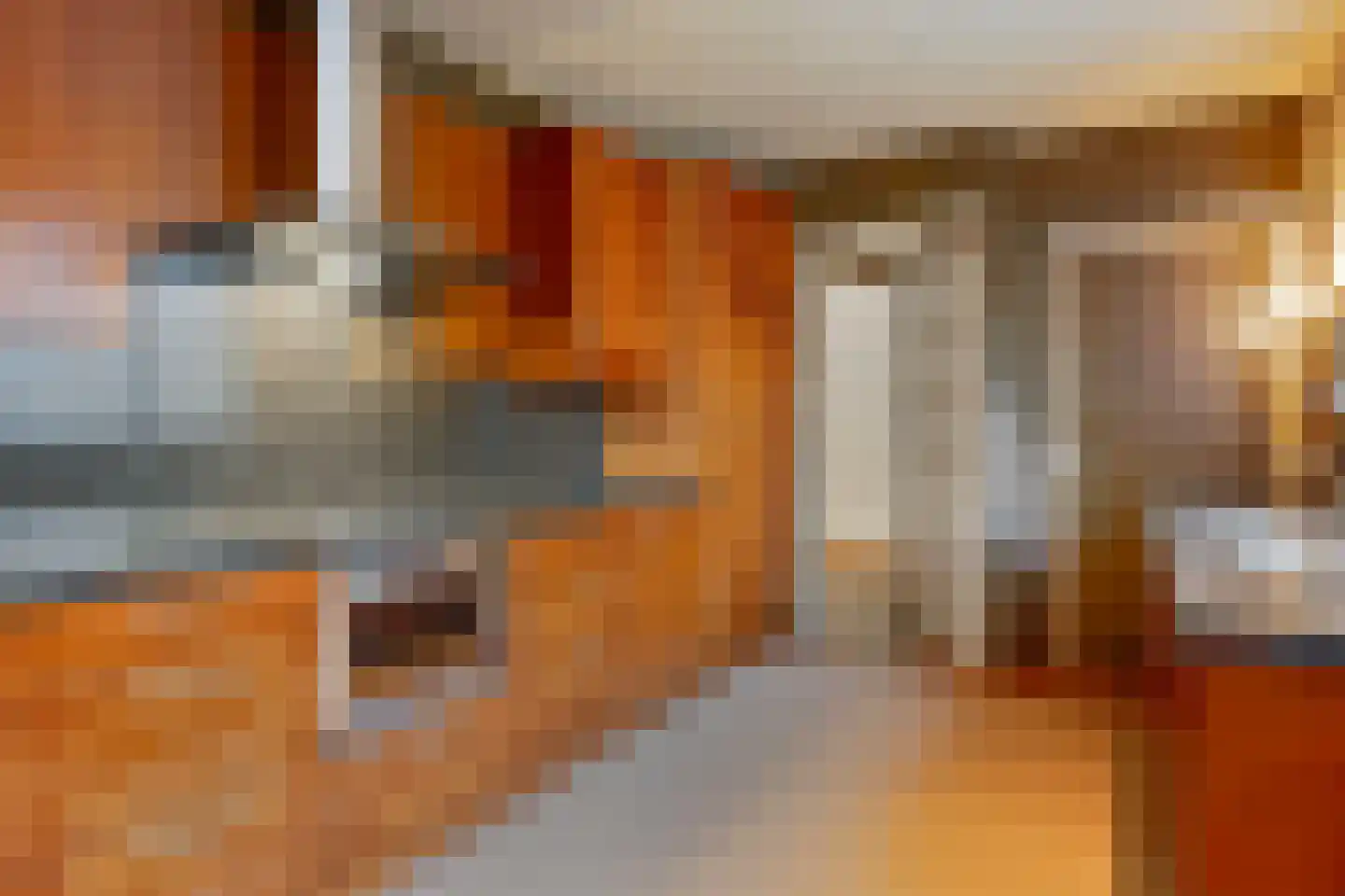 Van Hogendorpstraat 3 Drunen thumbnail 17