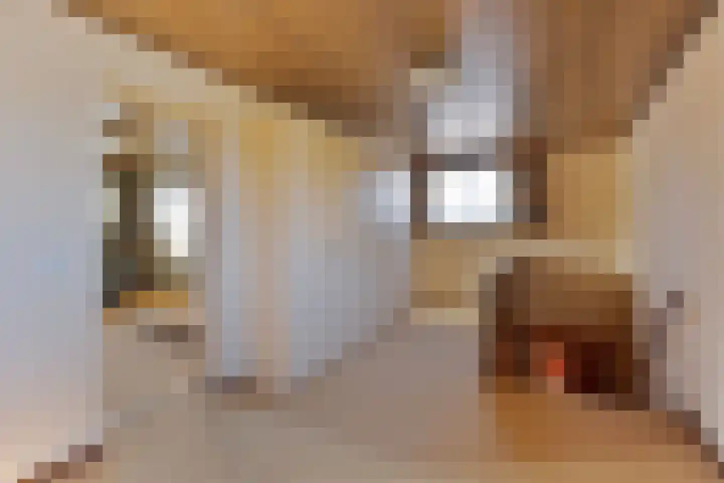 Van Hogendorpstraat 3 Drunen thumbnail 19