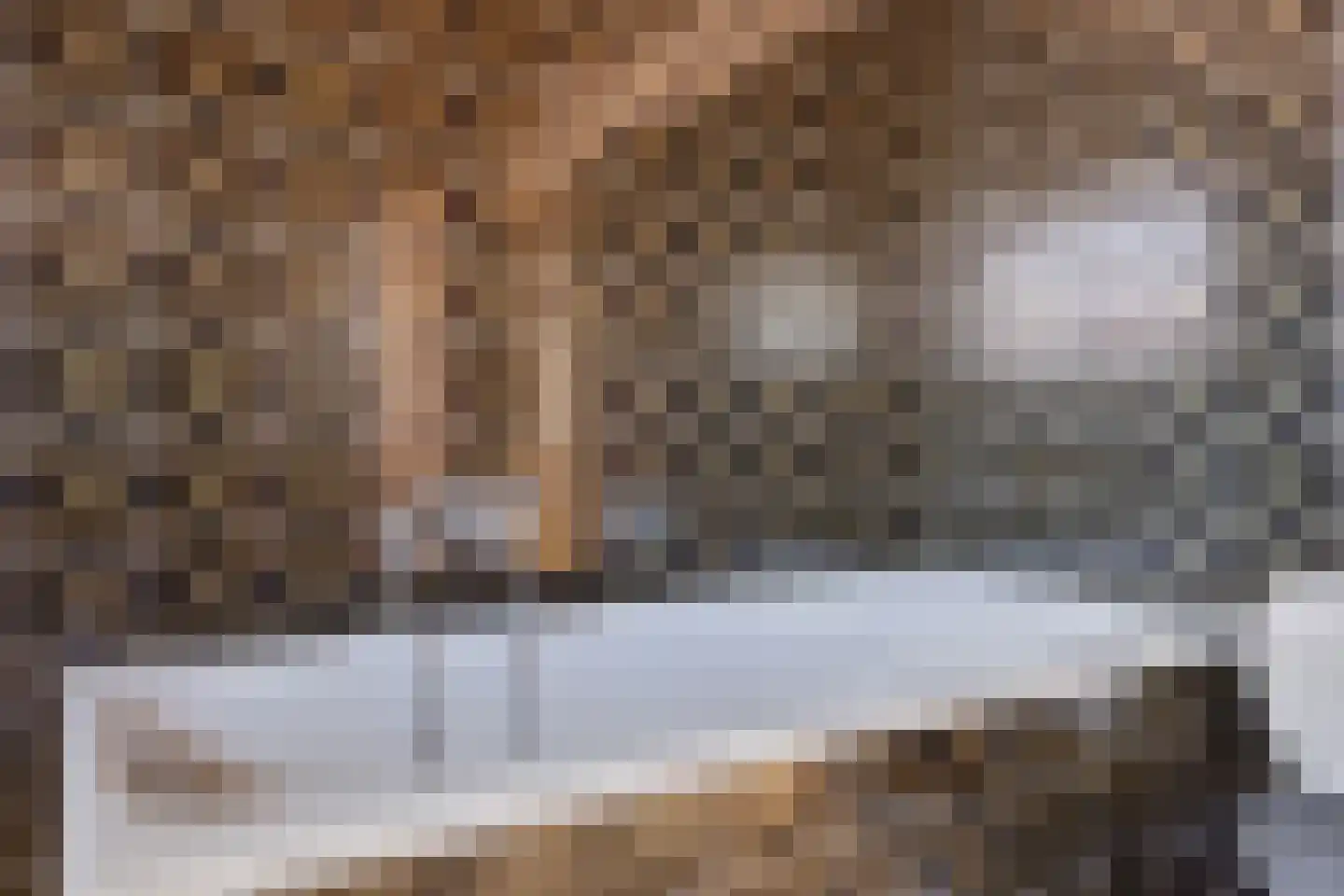 Van Hogendorpstraat 3 Drunen thumbnail 25