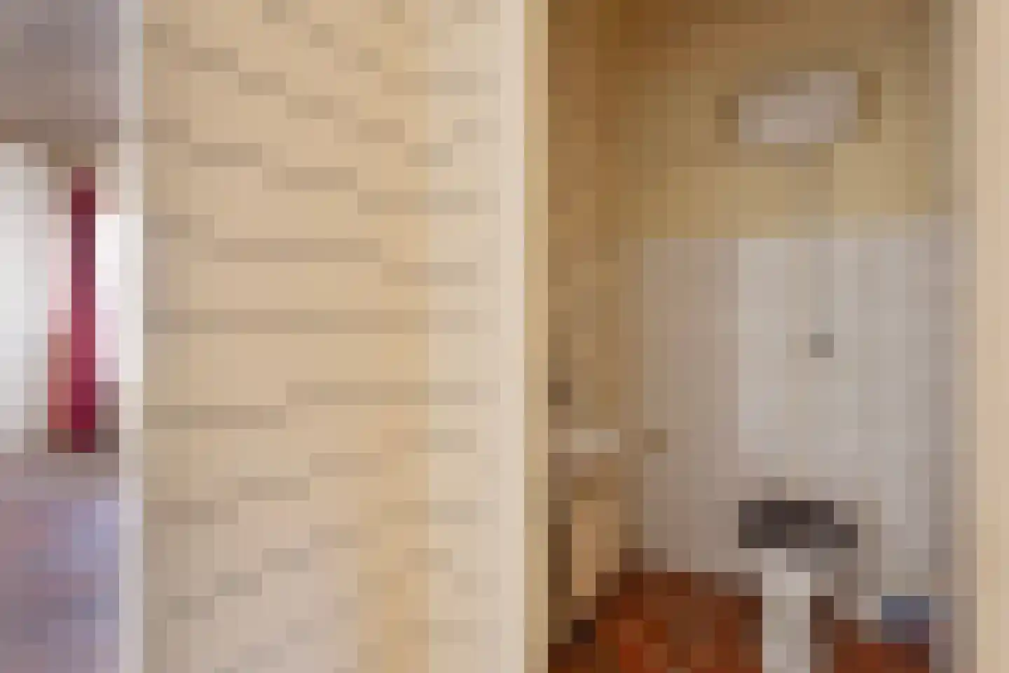 Van Hogendorpstraat 3 Drunen thumbnail 35