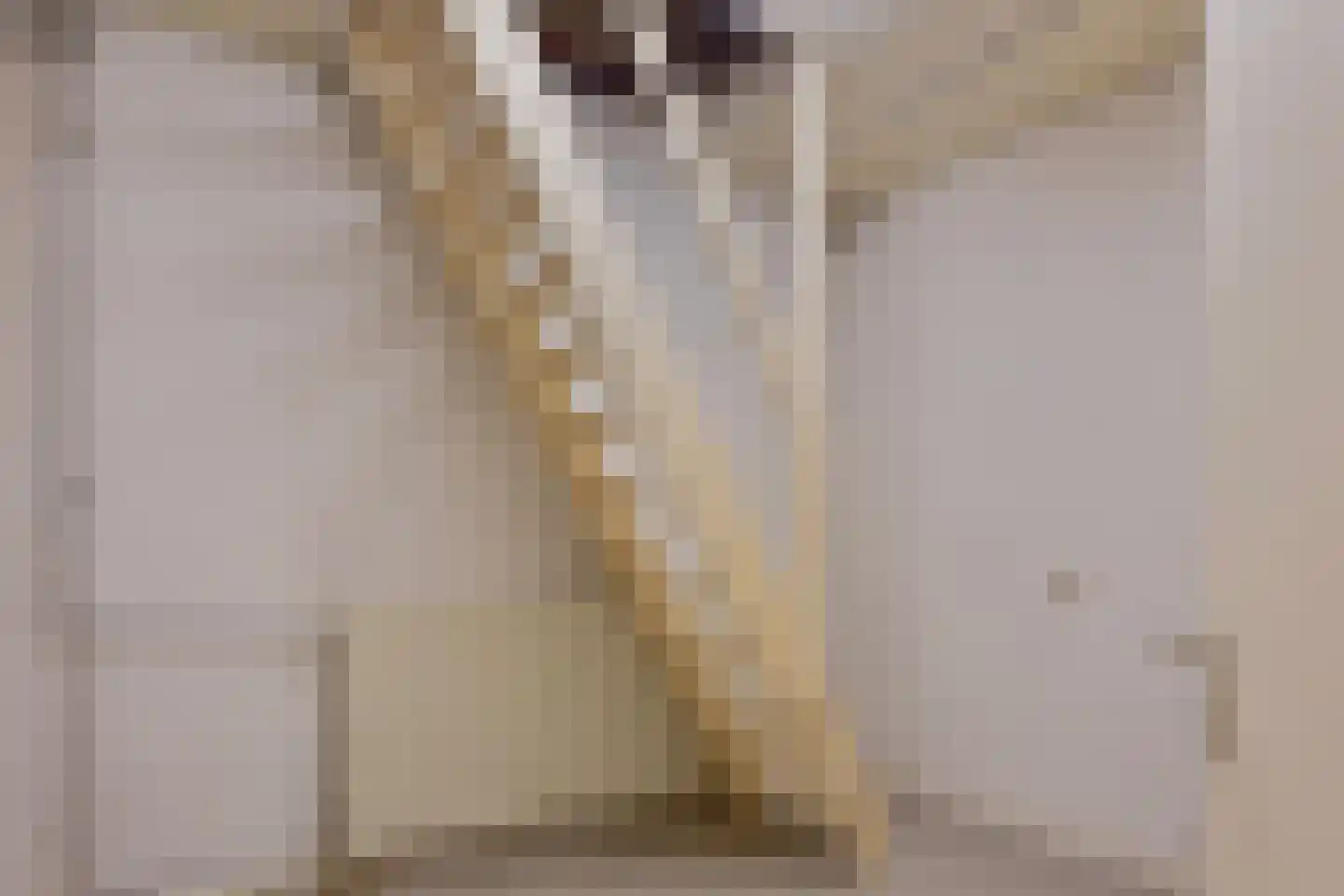Van Hogendorpstraat 3 Drunen thumbnail 40