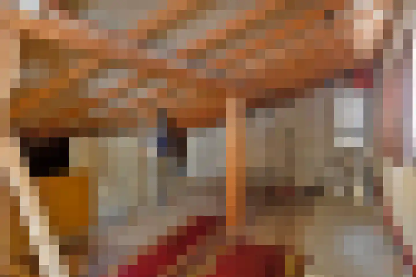 Van Hogendorpstraat 3 Drunen thumbnail 42
