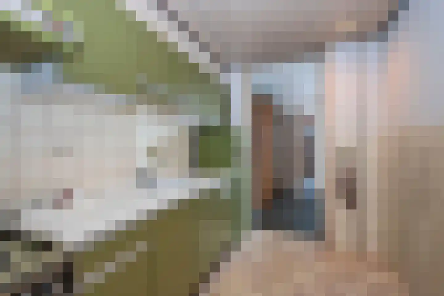 Van Hogendorpstraat 3 Enschede thumbnail 16