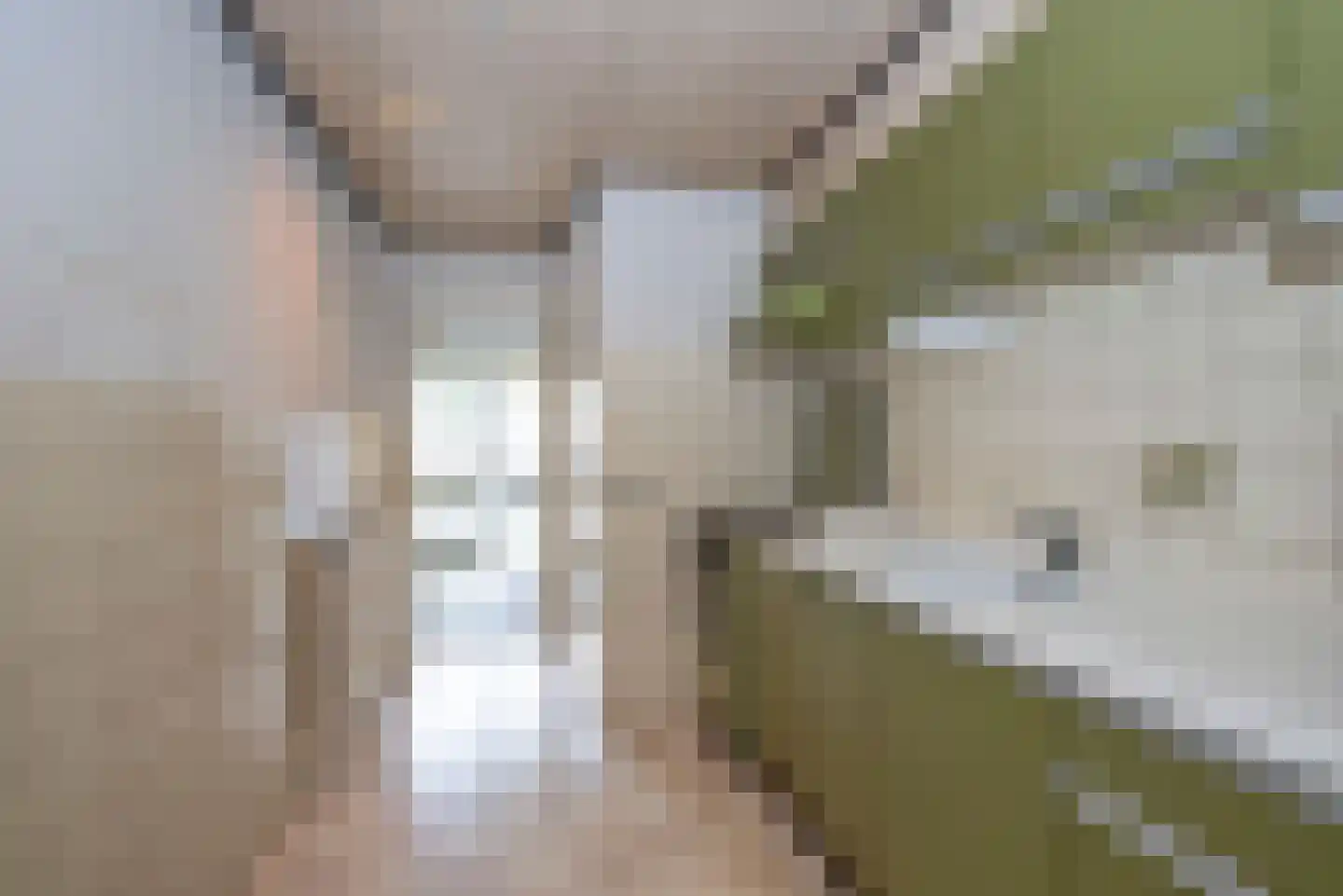 Van Hogendorpstraat 3 Enschede thumbnail 17