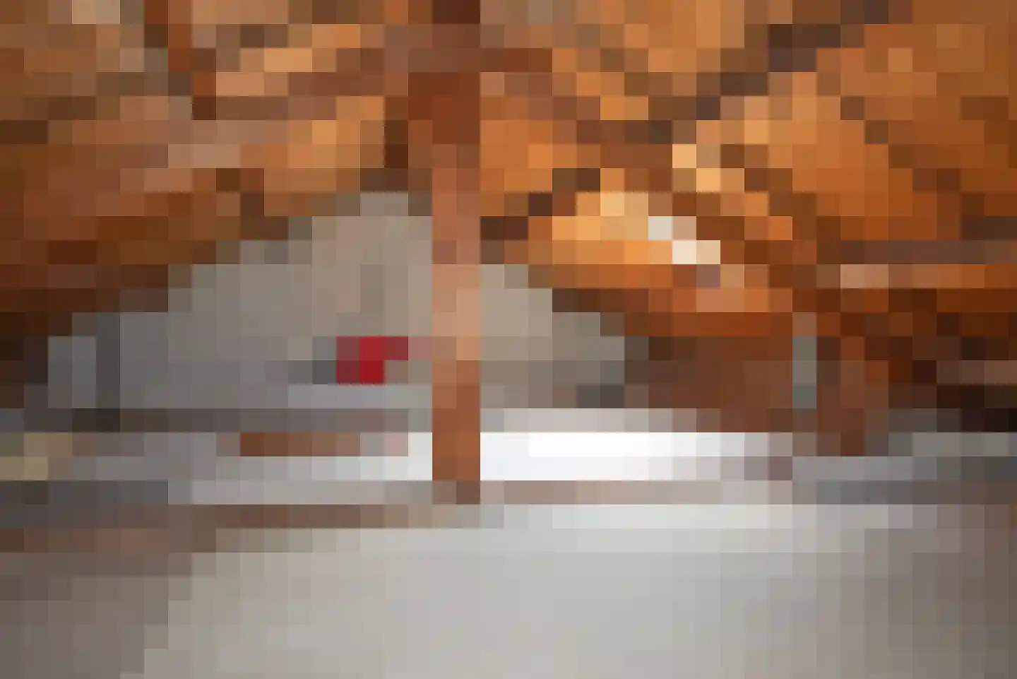 Van Hogendorpstraat 3 Enschede thumbnail 26