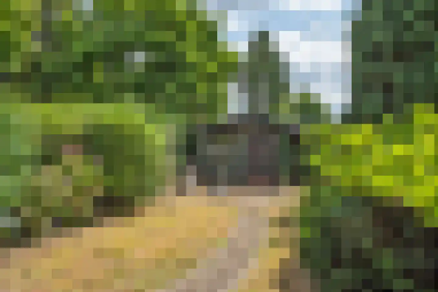 Van Hogendorpstraat 3 Enschede thumbnail 28