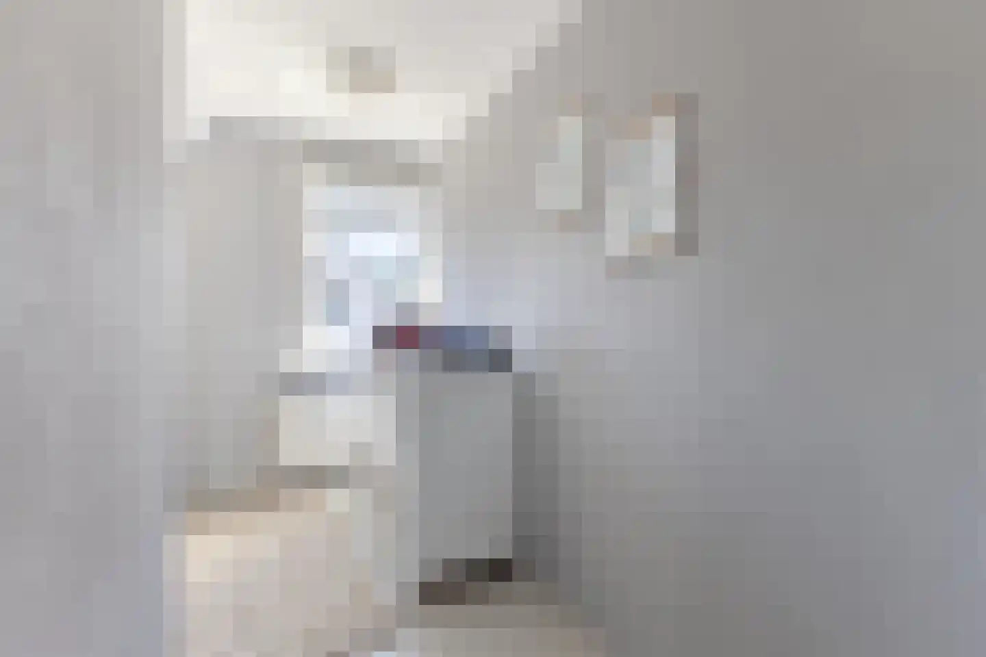van Hogendorpstraat 3 Krommenie thumbnail 26