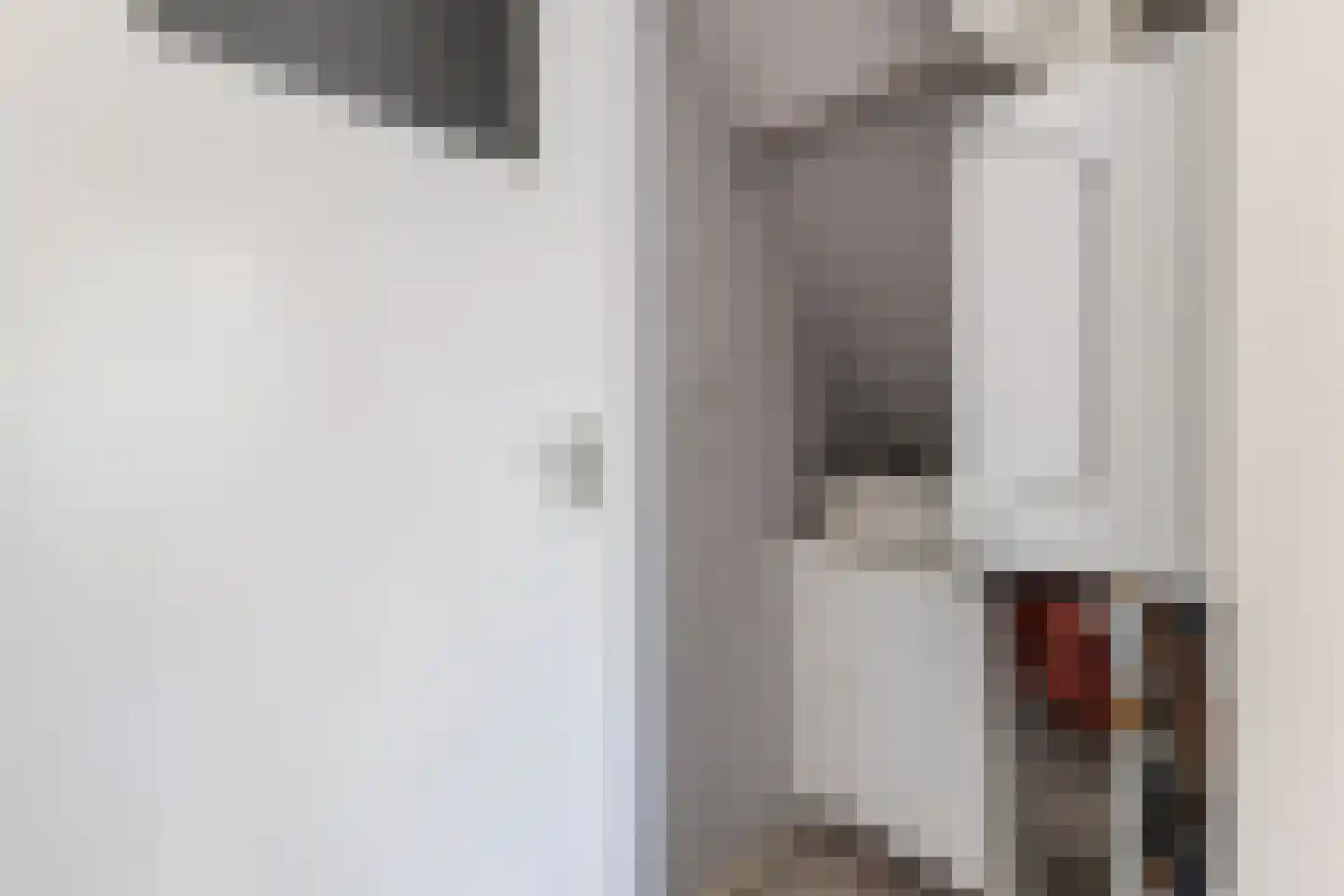 van Hogendorpstraat 3 Krommenie thumbnail 31