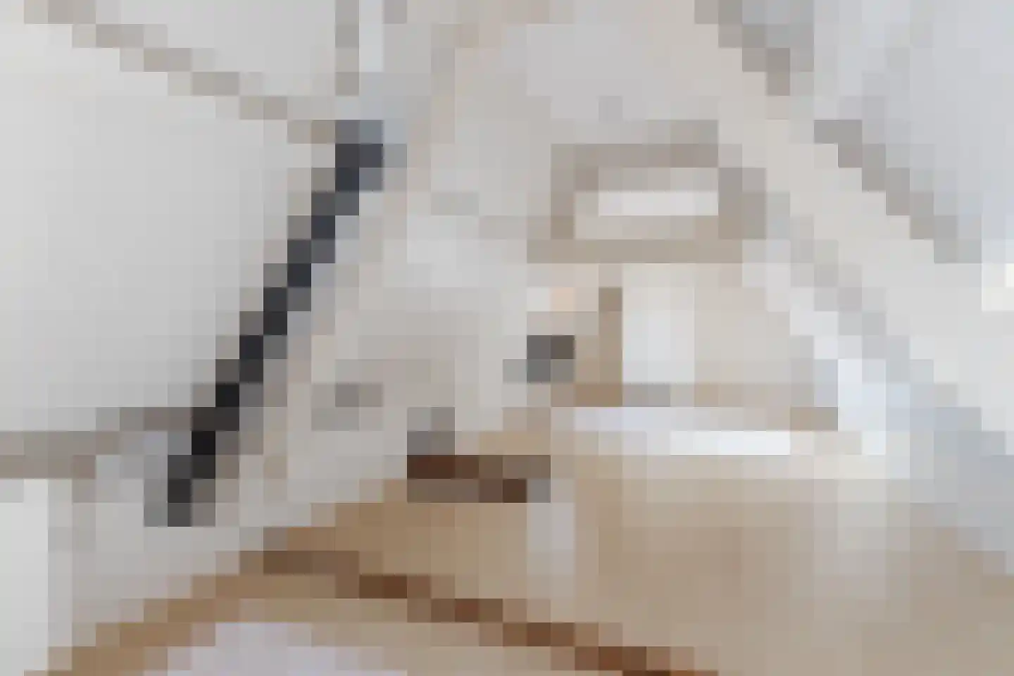 van Hogendorpstraat 3 Krommenie thumbnail 35