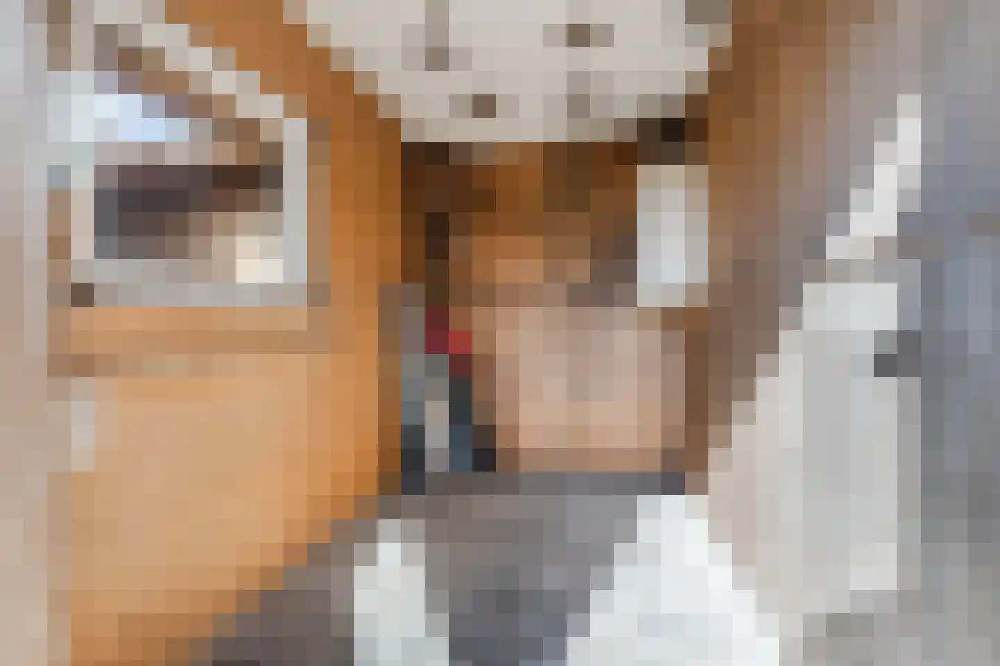 van Hogendorpstraat 3 Krommenie thumbnail 36