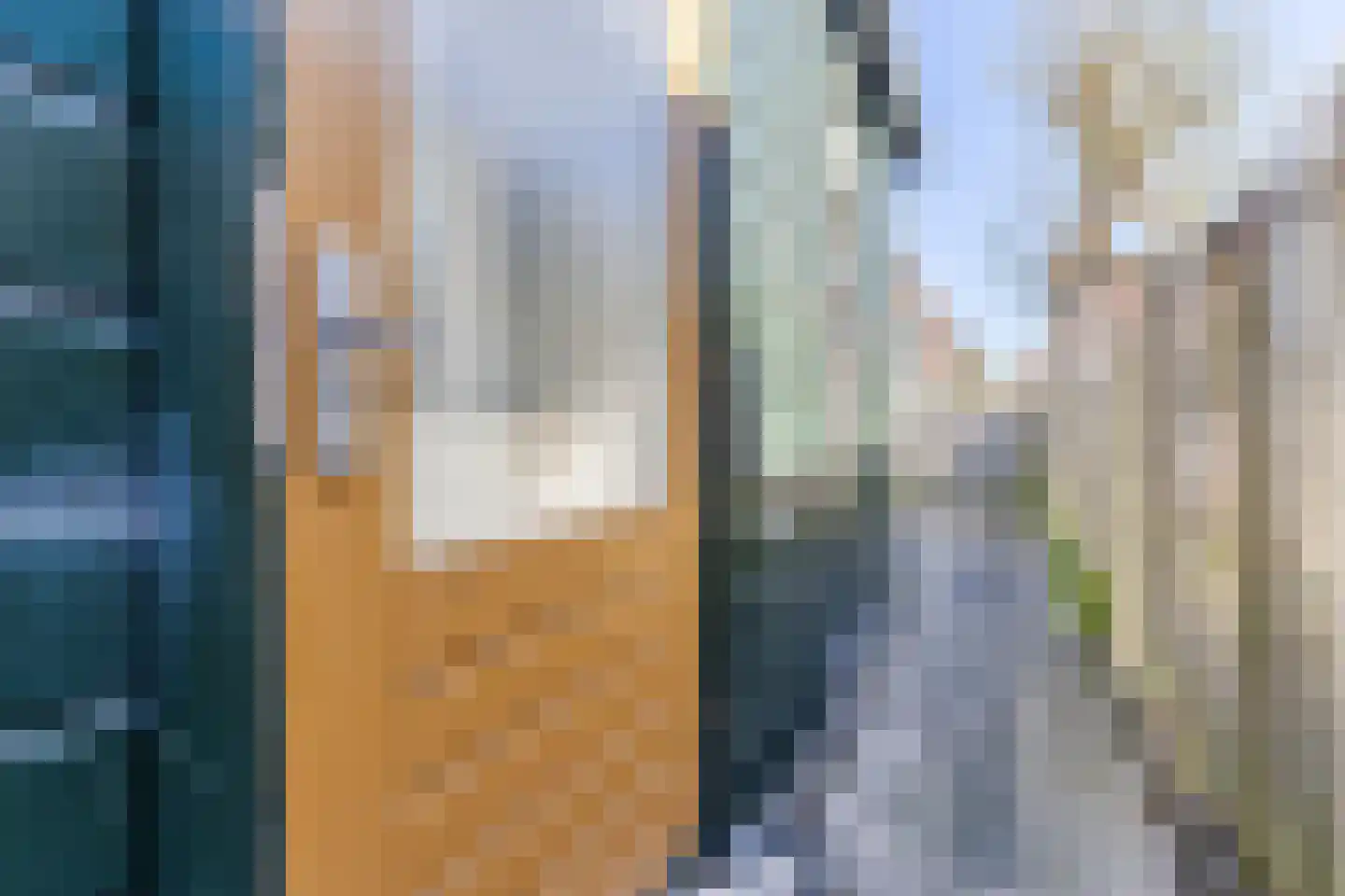 van Hogendorpstraat 3 Krommenie thumbnail 37