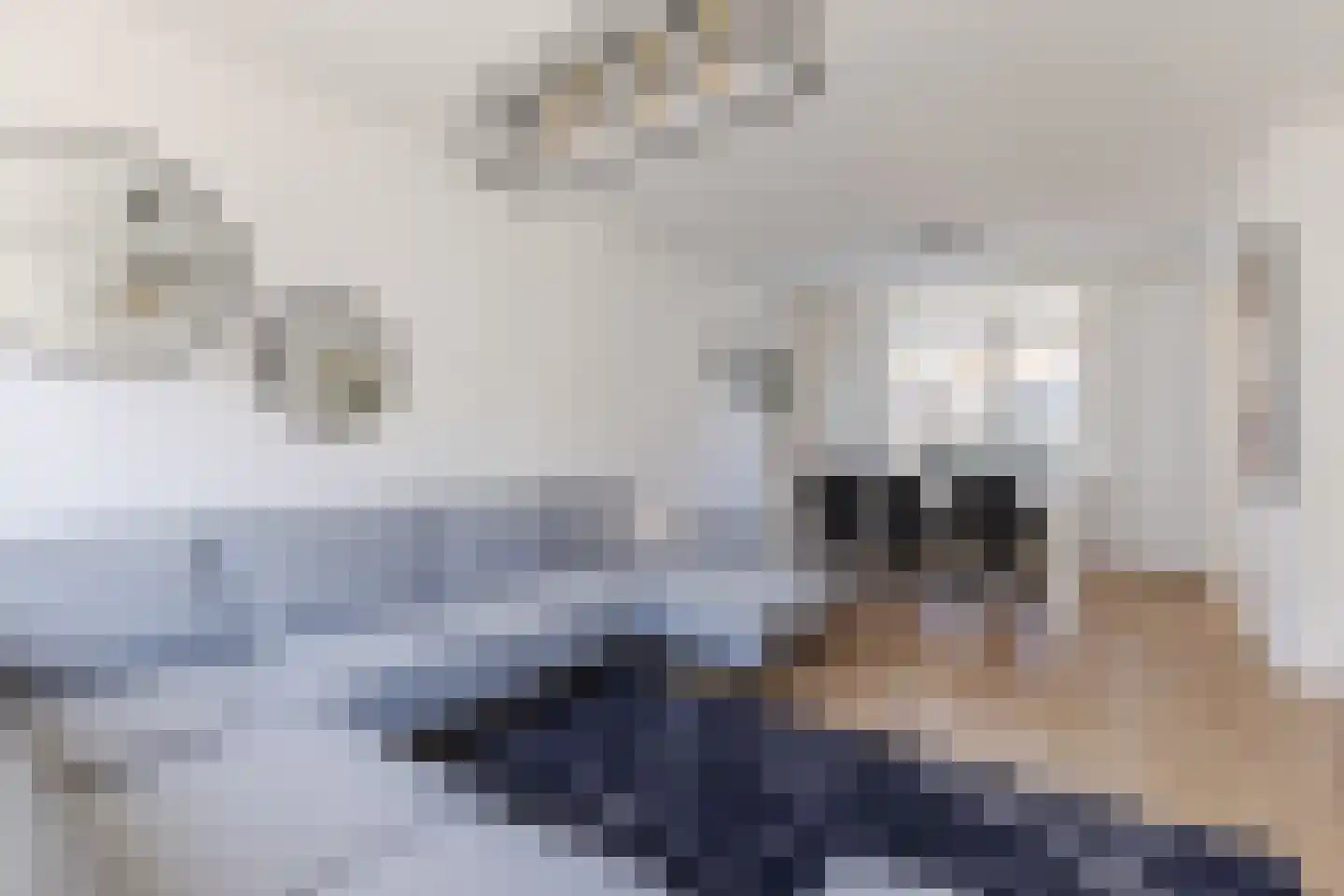van Hogendorpstraat 3 Krommenie thumbnail 5