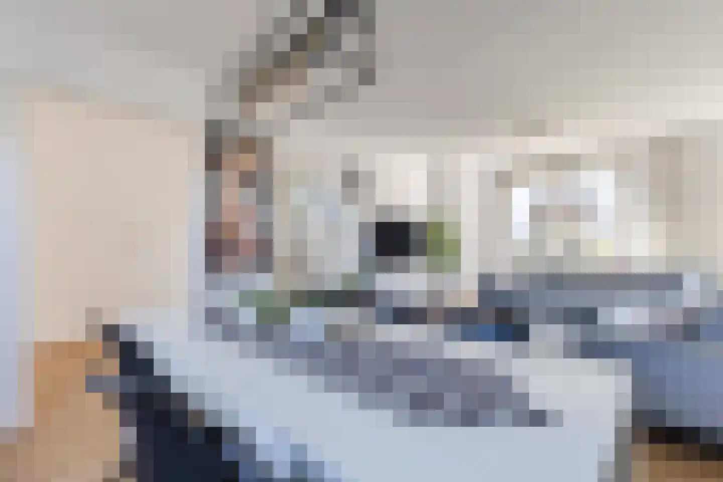 van Hogendorpstraat 3 Krommenie thumbnail 7