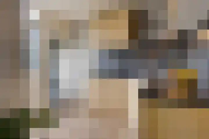 van Hogendorpstraat 30 Assen thumbnail 15