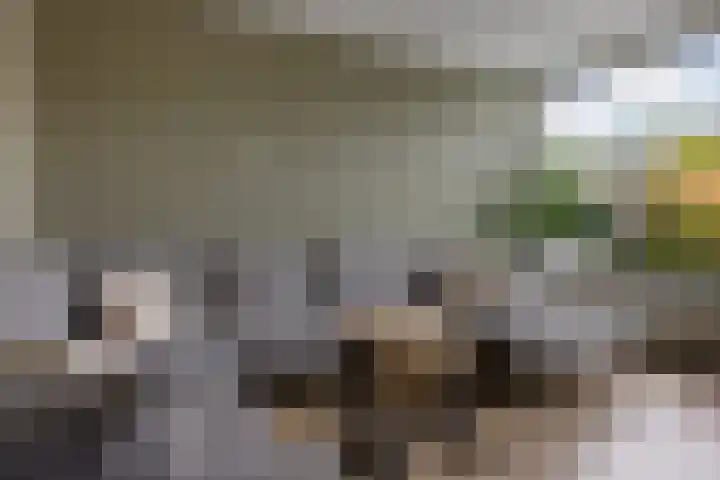 van Hogendorpstraat 30 Assen thumbnail 20