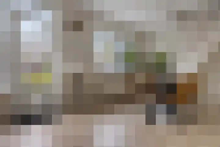 van Hogendorpstraat 30 Assen thumbnail 22