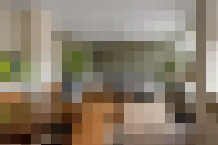 van Hogendorpstraat 30 Assen thumbnail 23