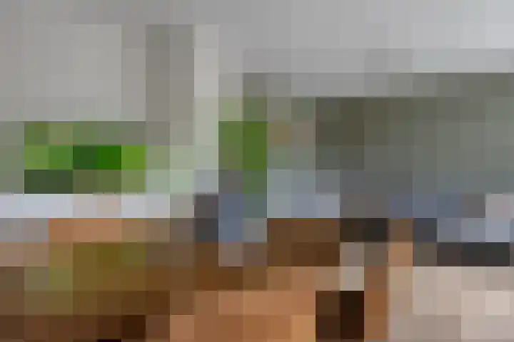 van Hogendorpstraat 30 Assen thumbnail 24