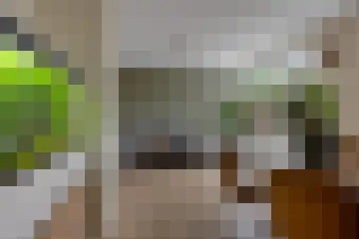 van Hogendorpstraat 30 Assen thumbnail 25