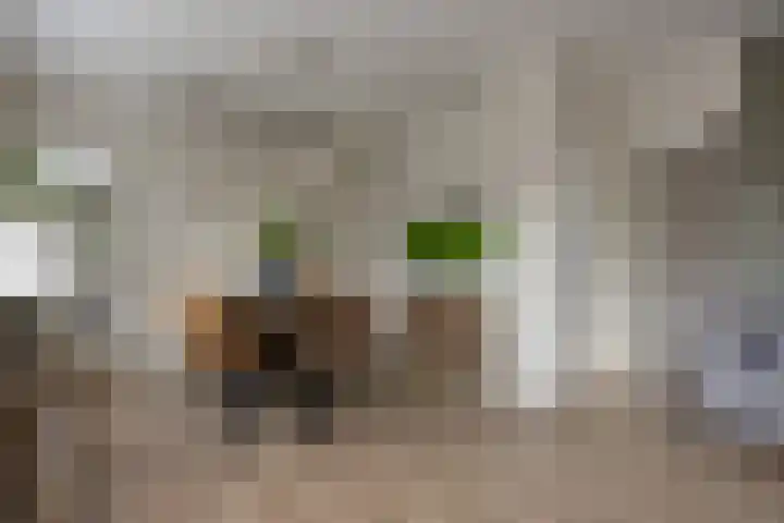 van Hogendorpstraat 30 Assen thumbnail 26