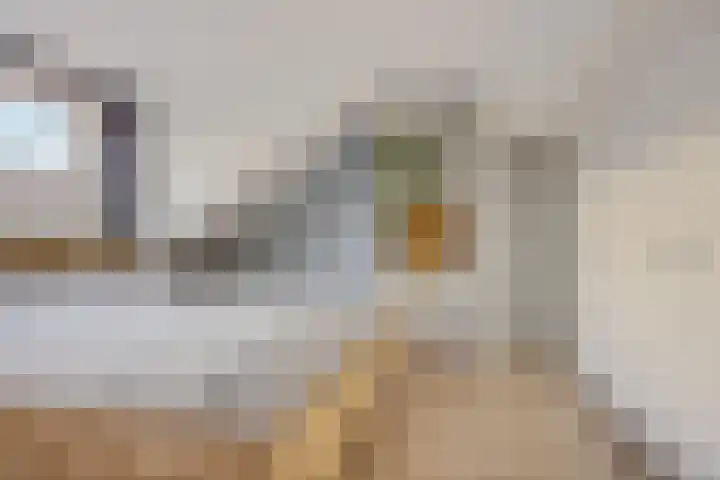 van Hogendorpstraat 30 Assen thumbnail 33