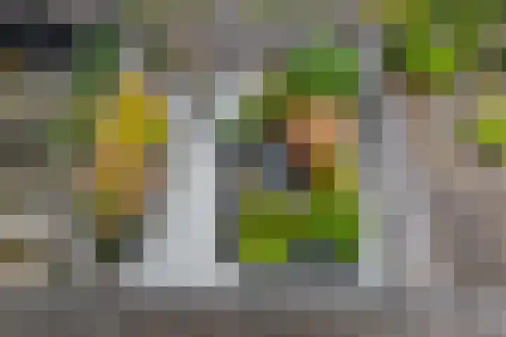 van Hogendorpstraat 30 Assen thumbnail 35