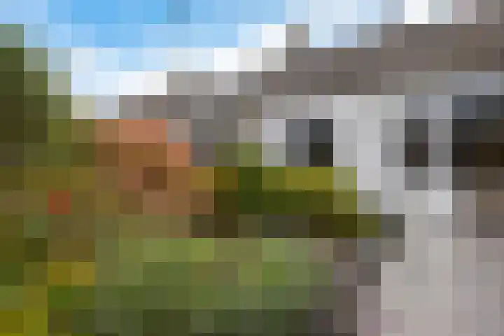 van Hogendorpstraat 30 Assen thumbnail 37