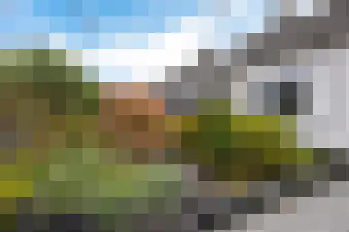 van Hogendorpstraat 30 Assen thumbnail 38