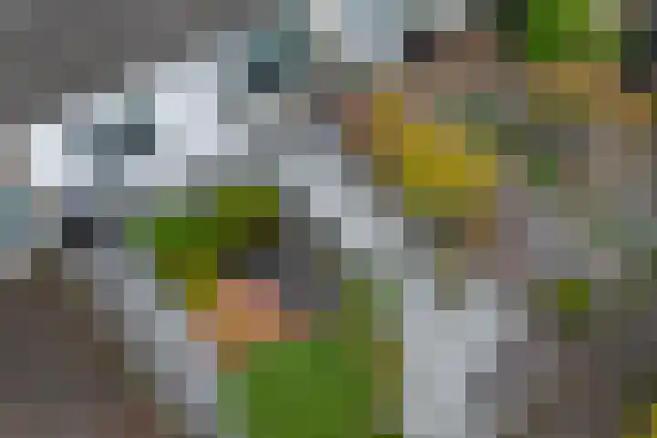 van Hogendorpstraat 30 Assen thumbnail 4