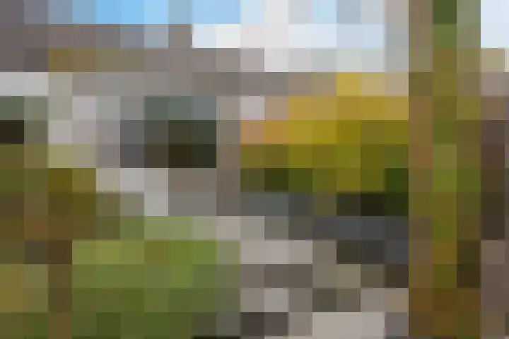 van Hogendorpstraat 30 Assen thumbnail 41