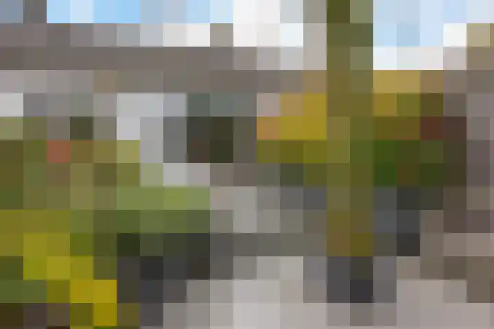 van Hogendorpstraat 30 Assen thumbnail 42