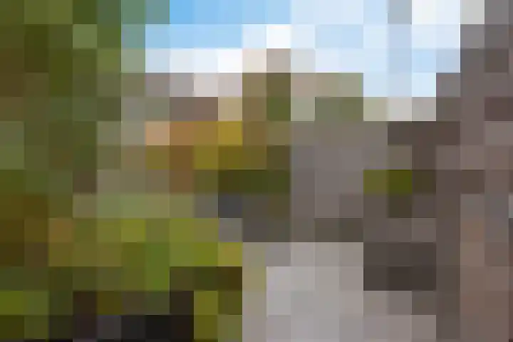 van Hogendorpstraat 30 Assen thumbnail 43