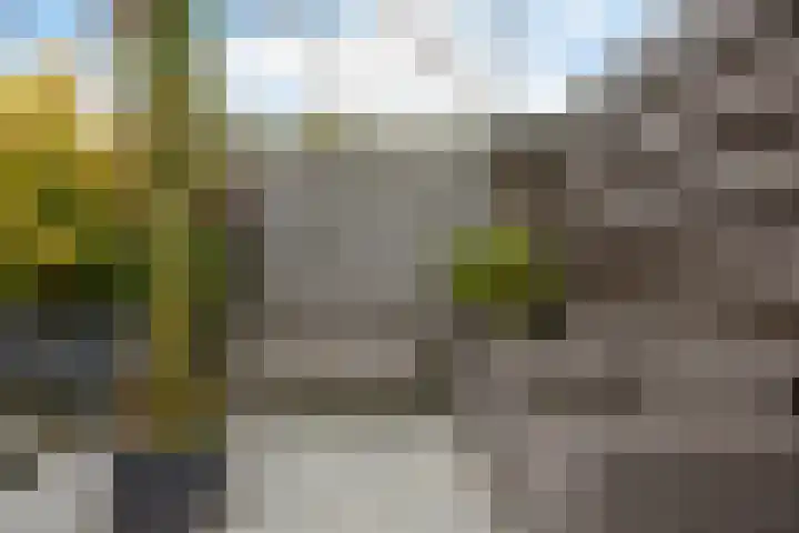 van Hogendorpstraat 30 Assen thumbnail 44