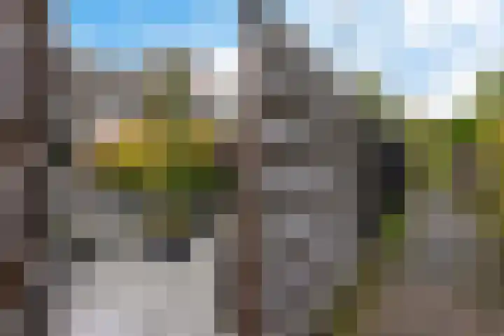 van Hogendorpstraat 30 Assen thumbnail 45