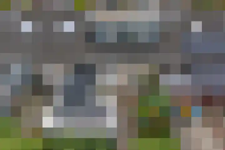 van Hogendorpstraat 30 Assen thumbnail 5
