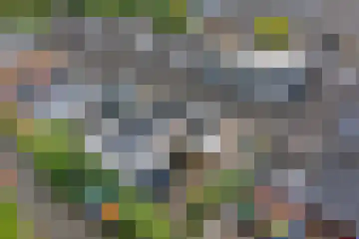 van Hogendorpstraat 30 Assen thumbnail 6