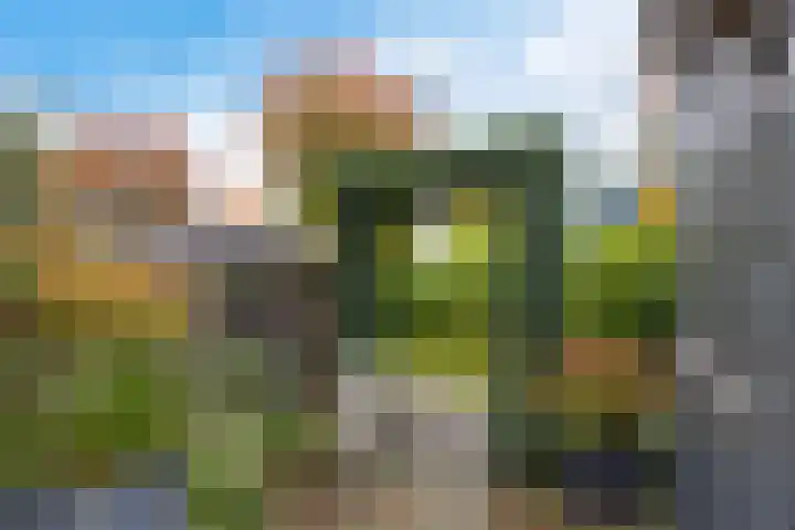 van Hogendorpstraat 30 Assen thumbnail 8