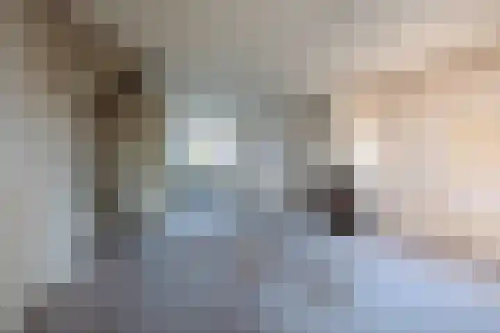 van Hogendorpstraat 34 Krommenie thumbnail 13