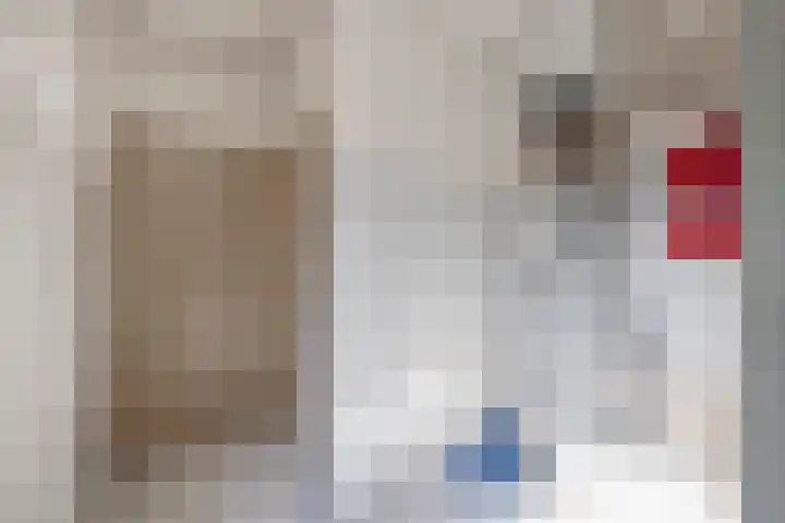 van Hogendorpstraat 34 Krommenie thumbnail 17