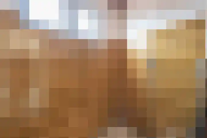 van Hogendorpstraat 34 Krommenie thumbnail 18