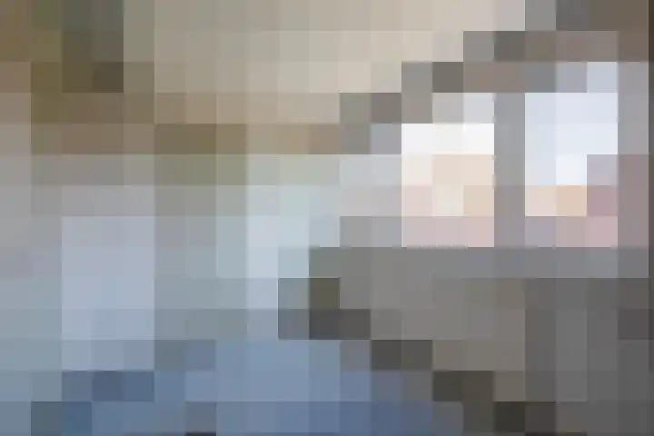 van Hogendorpstraat 34 Krommenie thumbnail 23