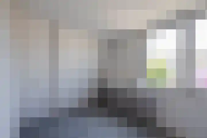 van Hogendorpstraat 34 Krommenie thumbnail 25