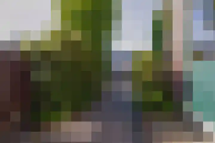 van Hogendorpstraat 34 Krommenie thumbnail 30